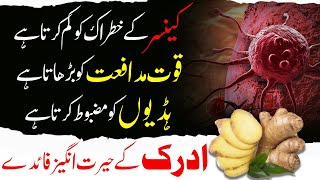 Adrak ke Fayde  Health Benefits of Ginger  Shaykh Hafiz Ibrahim Naqshbandi ادرک کے فائدے [upl. by Eedebez]