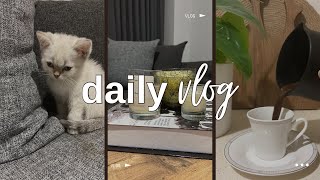 SESSİZ VLOG  Ev temizliği  Temizlik Rutinim  VLOG [upl. by Devy]