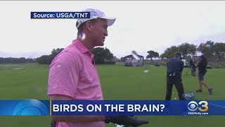 Peyton Manning Jokes About Having Nick Foles Caddy During Charity Golf Event Against Tom Brady [upl. by Anirtac]