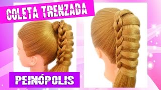 Coletas con Trenzas  Peinados Faciles y Rapidos para Niña [upl. by Ginzburg]