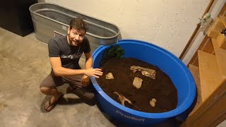 Tortoise Terrarium Build Part 3  Substrate [upl. by Poore]