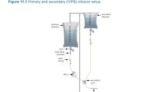 Medical Dosage Calculations  Ch11  Flow Rates Dosage Rates for IV Medications [upl. by Shaper926]