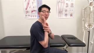 Fundamental Elbow ROM amp Strengthening Exercises [upl. by Bibi964]