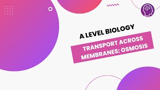 A Level Biology Revision quotThe FluidMosaic Model of Membrane Structurequot [upl. by Hulda]