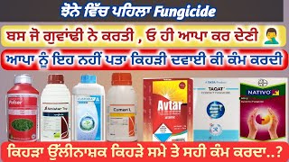 ਝੋਨੇ ਤੇ ਪਹਿਲਾ ਉੱਲੀਨਾਸ਼ਕ ਕਿਹੜਾ ਵਰਤਨਾ  First fungicide spray use in paddy [upl. by Aitsirk]