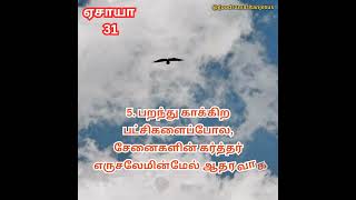 JESUS இயேசு  ஏசாயா 31  47  ISAIAH 31  ABRAHAM JOHN KENNEDY tamilbibleverse [upl. by Terrab]