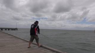 Oz Fish TV  Frankston Pier and Westernport Gummies [upl. by Lehcin922]