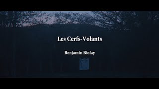 Les CerfsVolants  Benjamin Biolay [upl. by Keligot]