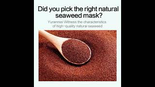 Pure Seaweed Alga Mask Small Particles Marine Algae Mask Mud Whitening Moisturizing Shrink Pores [upl. by Ikoek]