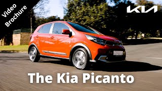 2023 Kia Picanto X Line  The Ultimate City Car [upl. by Amlas]