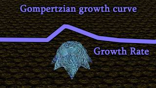 Gompertzian tumor growth Gompertzian growth curve [upl. by Bird]