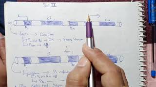 lytic and lysogenic cycle bacteriophage lamda CSIR NET Life science 2024 [upl. by Irovi]