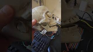 Update on DIY Halloween Animatronic [upl. by Novyak731]