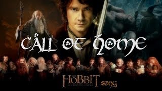 THE HOBBIT  Call Of Home Original Song by Miracle Of Sound [upl. by Illek]