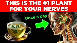 The 1 Plant to Repair Nerves Instantly How to use it  Neuropathy [upl. by Ameerahs696]