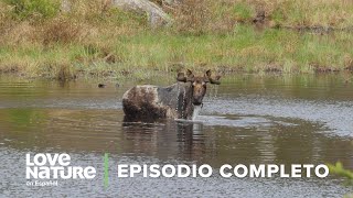 Toda la VERDAD sobre el IMPACTO AMBIENTAL 🤽‍♂️ Grandes Lagos Salvajes EP6 ♒ Love Nature 🍃 [upl. by Melanie]