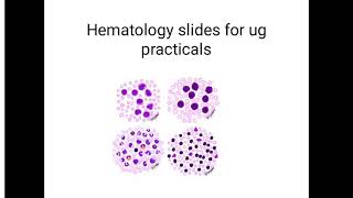 hematology slides mbbs second year practicals part 2 [upl. by Gerta]