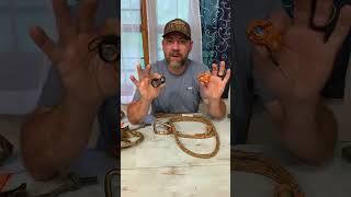 Ropeman 1 vs Kong Duck for saddlehunting saddlehunter deer deerhunting outdoorsgear [upl. by Fina358]