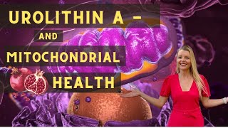 Urolithin A  a useful chemical for mitochondrial health [upl. by Eedrahs112]