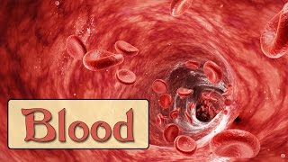 Easy Physiology  Blood  1Hemostasis amp Coagulation Cascade [upl. by Nepets]