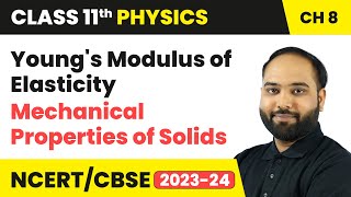 Youngs Modulus of Elasticity  Mechanical Properties of Solids  Class 11 Physics Chapter 8  CBSE [upl. by Meier]