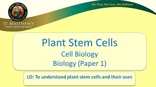 Plant Stem Cells [upl. by Ozan269]