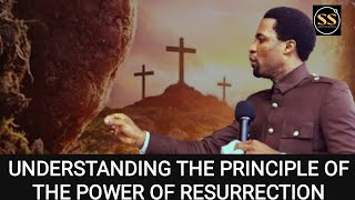 UNDERSTANDING THE PRINCIPLE OF THE POWER OF RESURRECTION  APOSTLE MICHEAL OROKPO [upl. by Barolet556]