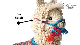 Crochet Fur Stitch  BEGINNER  The Crochet Crowd [upl. by Haymes457]