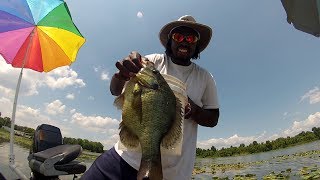 Shellcracker Fishing catching Huge Monster Slabs [upl. by Hancock186]