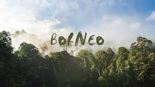 Borneo  Sabah [upl. by Eidnim]