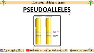 PSEUDOALLELES  CONCEPT OF GENE  GENETICS [upl. by Namruht]