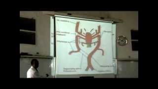 Embryology  Dr Sherif Fahmy CVS part 3 [upl. by Adlai46]