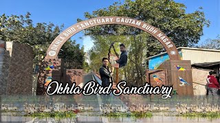 Okhla Bird Sanctuary  Noida  Full Tour of Okhla Bird Sanctuary Noida Delhi  Desi Ladka Vlogs [upl. by Rosalynd]