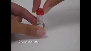 Rapid Test  CRP Test ®  wwwbiosynexcom [upl. by Tloc]