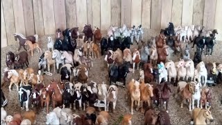 2024 Schleich collection tour 145 horses [upl. by Hammad]