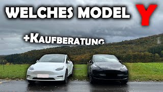 Tesla Model Y Long Range vs Performance [upl. by Brandes]