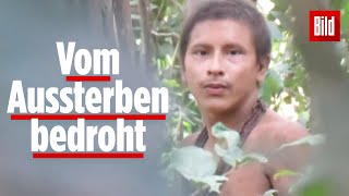 Isoliertes IndianerVolk im AmazonasGebiet gefilmt [upl. by Haile]