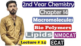 2nd Year Chemistry Chapter 14 Macromolecules Lipids Characteristics of Lipids Lec14 [upl. by Hortense311]