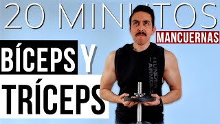 Rutina efectiva de BICEPS Y TRICEPS con mancuernas para principiantes [upl. by Ivah]