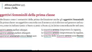 Prima declinazione ed aggettivi femminili prima classe [upl. by Enilada]