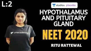 L2 Hypothalamus and Pituitary Gland  Endocrine System  Premedical  NEETAIIMS  NEET 2020 [upl. by Anyahs349]