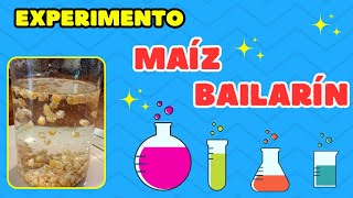 Experimento Maíz bailarín Ciencia para niños [upl. by Edals]