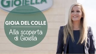 The milky world of Gioiella ENG SUBTITLES  BUON VENTO [upl. by Kirst]