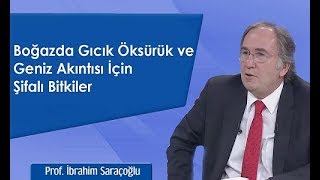 Boğazda Gıcık Öksürük ve Geniz Akıntısı İçin Şifalı Bitkiler  İbrahim Saraçoğlu [upl. by Petes]