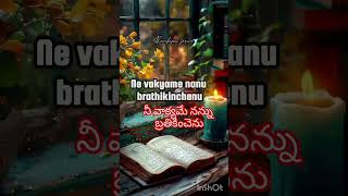 నీ వాక్యమే నన్ను బ్రతికించెను nee vakyame nannu brathikinchenu shorts Lnyk 25Nagu 25 [upl. by Etnovahs795]