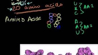 DNA in Bangla [upl. by Raknahs]