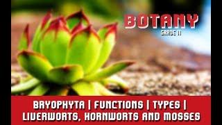 Kingdom Plantae  Bryophyta  Functions  Types  Liverworts Hornworts and Mosses  Section 2 [upl. by Sipple77]