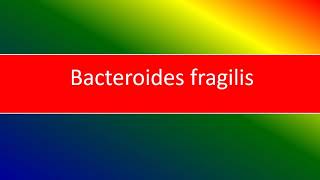 bacteroides fragilis [upl. by Nelly]