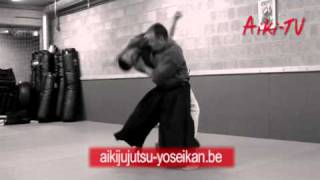 Aiki demonstration by Jan Janssens and Hugo Chauveau [upl. by Fronia]