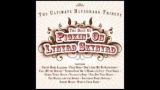 Free Bird  Best of Pickin on Lynyrd Skynyrd The Ultimate Bluegrass Tribute [upl. by Bordy51]